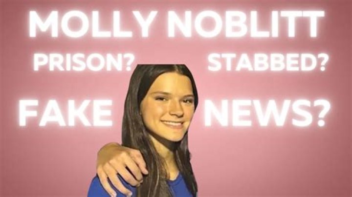 Did Molly Noblitt Get Arrested For Bullying Aubreigh Wyatt?