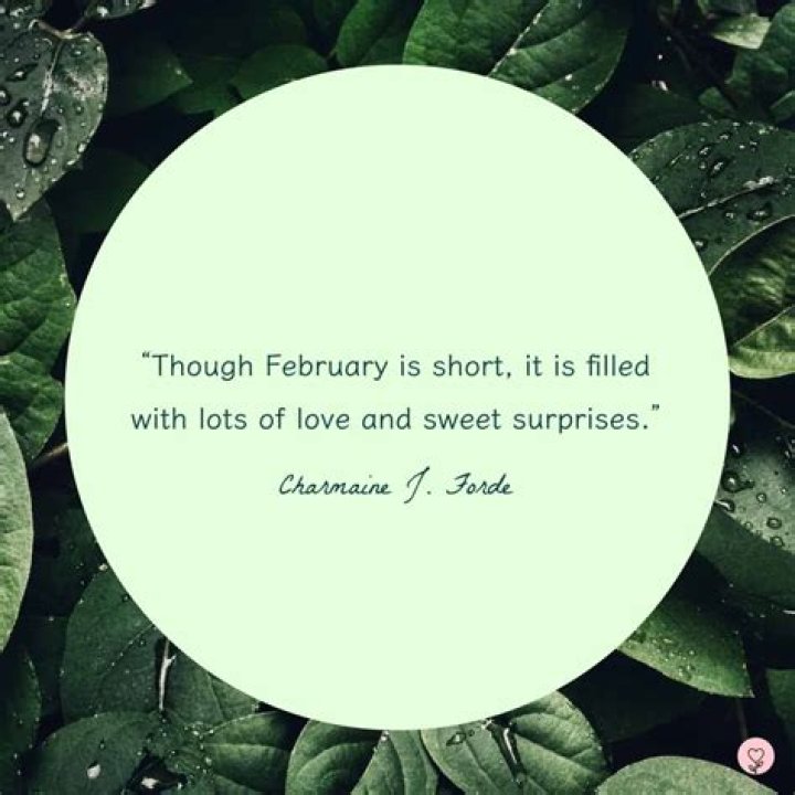 Discovering The Significance Of February 14: A Day Of Love And Connection