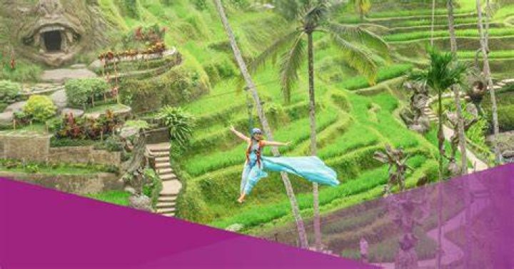 Discovering The Thrilling World Of Ziplining