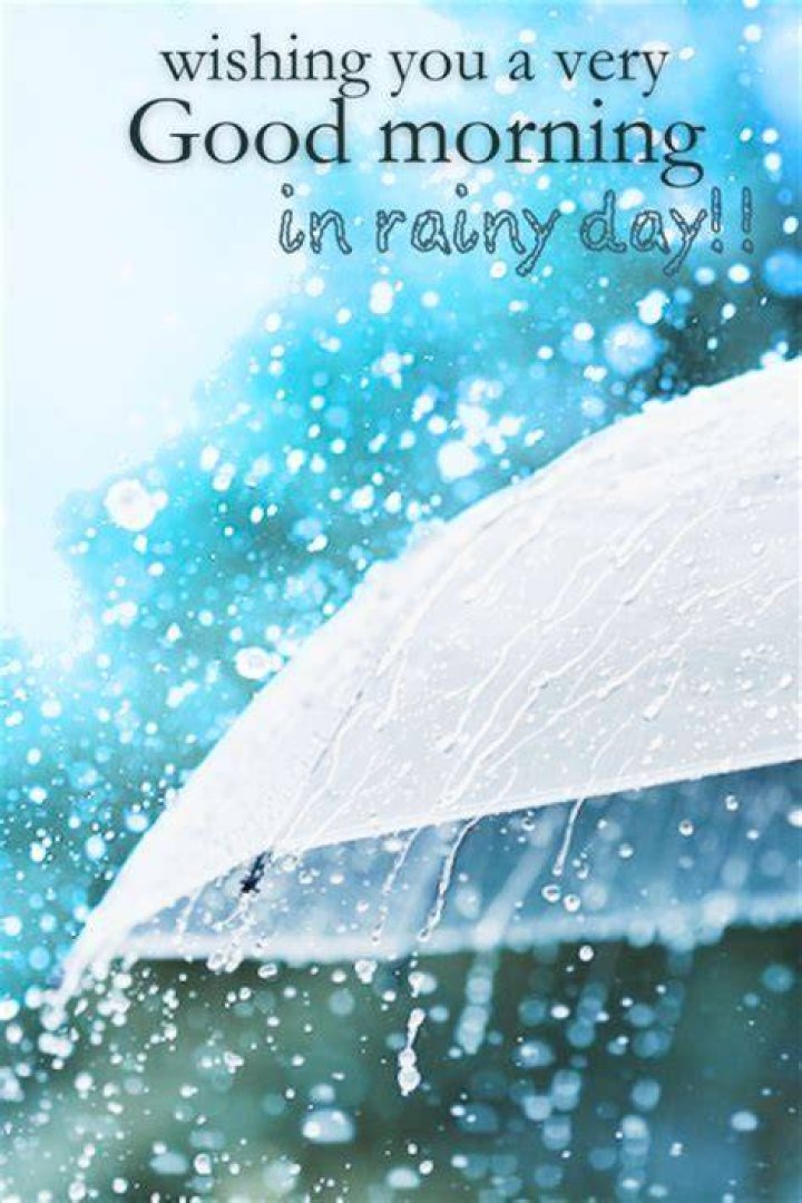 Embracing The Charm Of A Rainy Good Morning