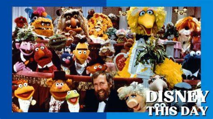 Embracing The Charm Of Ugly Muppets: A Celebration Of Unconventional Beauty