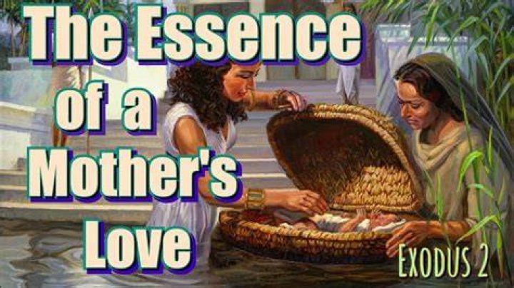 Embracing The Essence Of A Mother's Warmth
