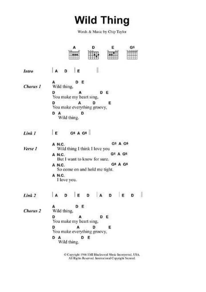 Exploring The Allure Of "Wild Thing" Lyrics