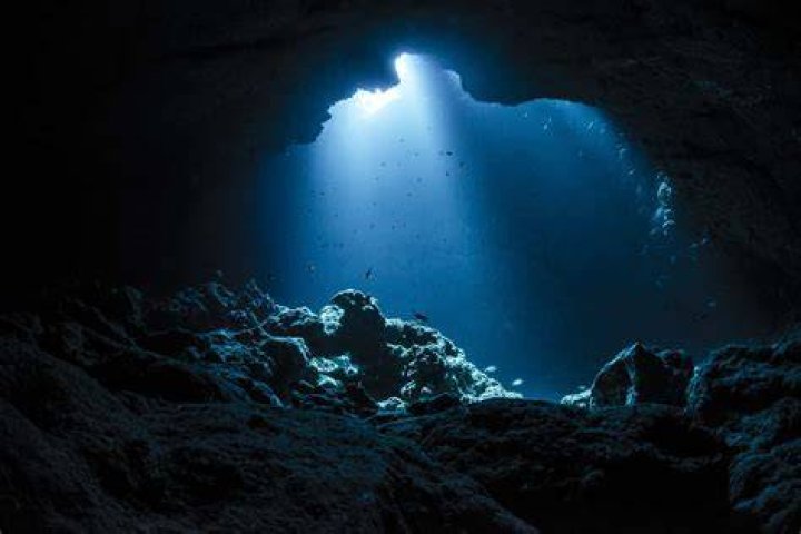 Exploring The Depths Of Fjb Meaning: Unraveling Its Significance