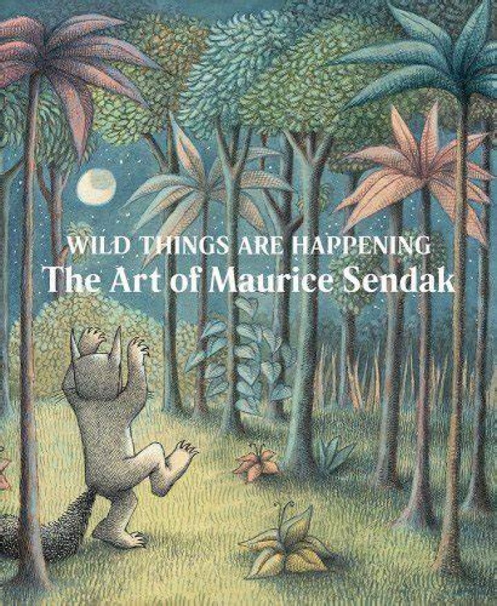Exploring The Depths Of Imagination: The Wild Things Are Book