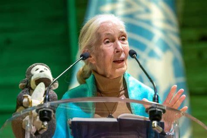 Exploring The Impact Of Dr. Jane Ruby On Twitter