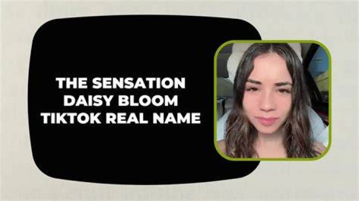 Exploring The World Of Daisy Blooms: The TikTok Sensation