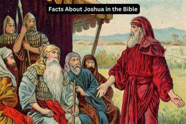 How Old is Joshua Hedberg? Age Revealed