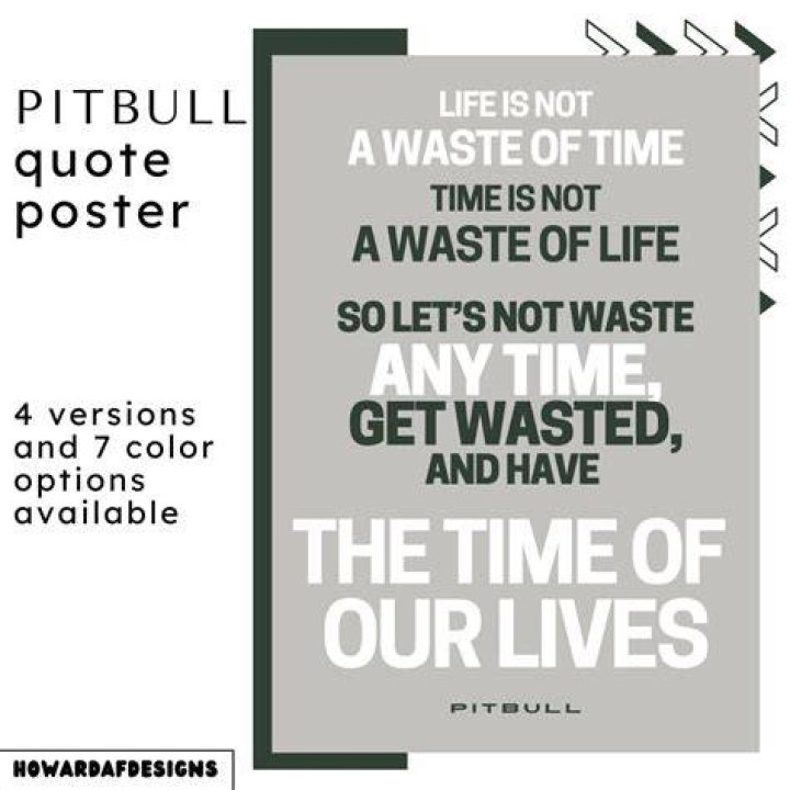 Life Is Not A Waste Of Time: The Pitbull Perspective