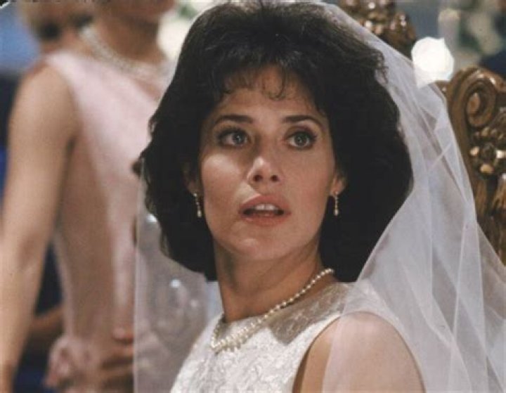 Lorraine Bracco In The 1980s: A Journey Through Fame And Transformation
