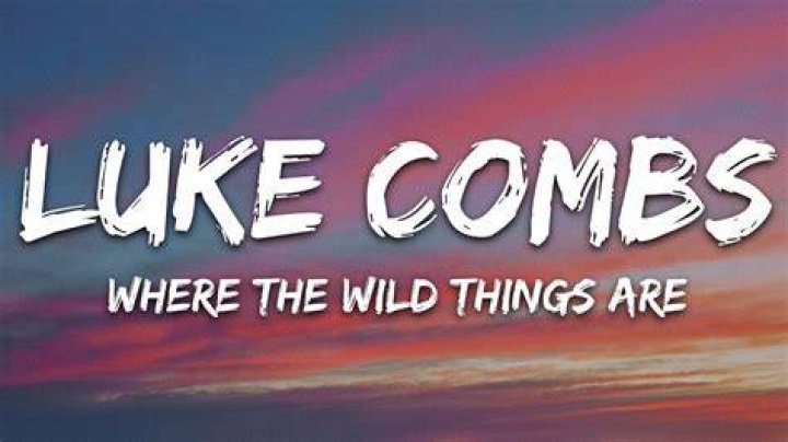 Luke Combs: Where The Wild Things Are Lyrics True Story