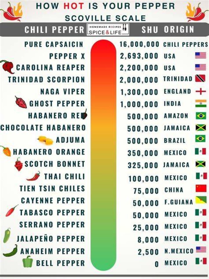 The Best "Helena" By Red Hot Chili Peppers: A Comprehensive Guide