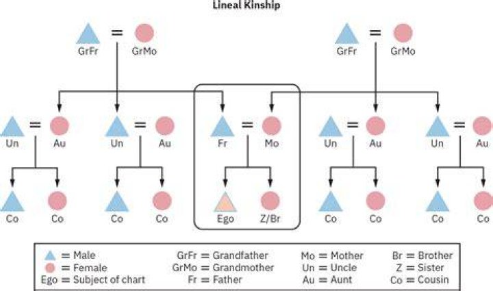The Notorious BMF: Uncovering The Maternal And Paternal Roots