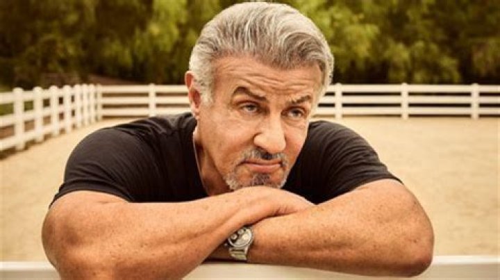 The Ultimate Guide To Sylvester Stallone: Success Secrets Revealed