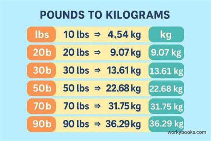 Understanding The Weight Conversion: How Much Is 53.5 Kg In Pounds?