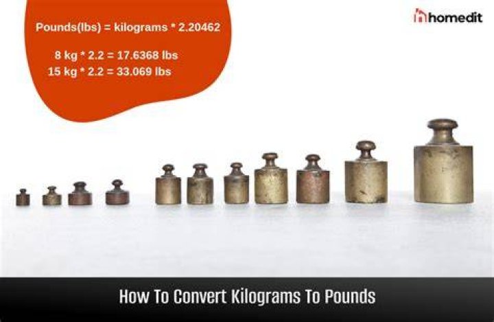 Unraveling The Mystery: How To Convert 1.2kg To Pounds