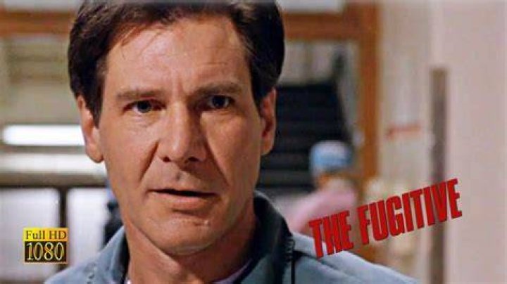Unraveling The Mystery: Was Neil Flynn In The Fugitive?