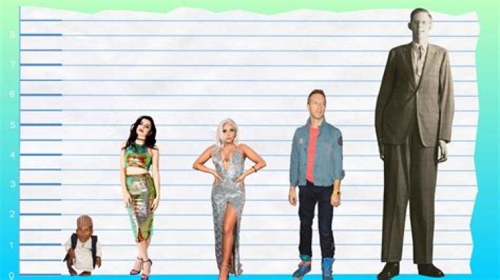 Unveiling The Enigma: Charli XCX Height And Weight