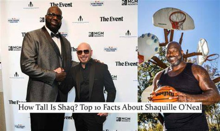 Unveiling The Magnitude: Shaquille O'Neal's Height