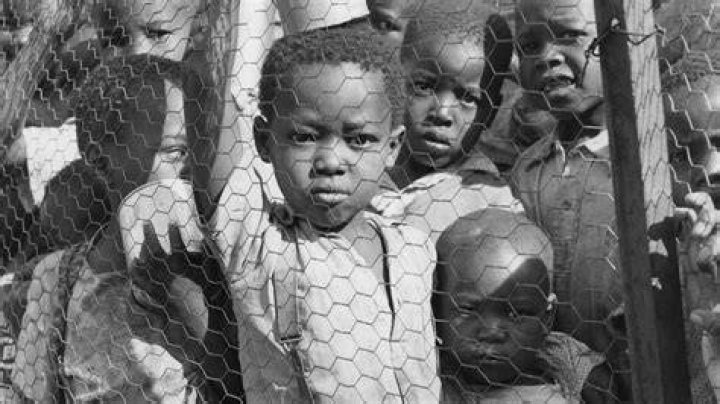 Unveiling The World Of Helena Vestergaard's Children